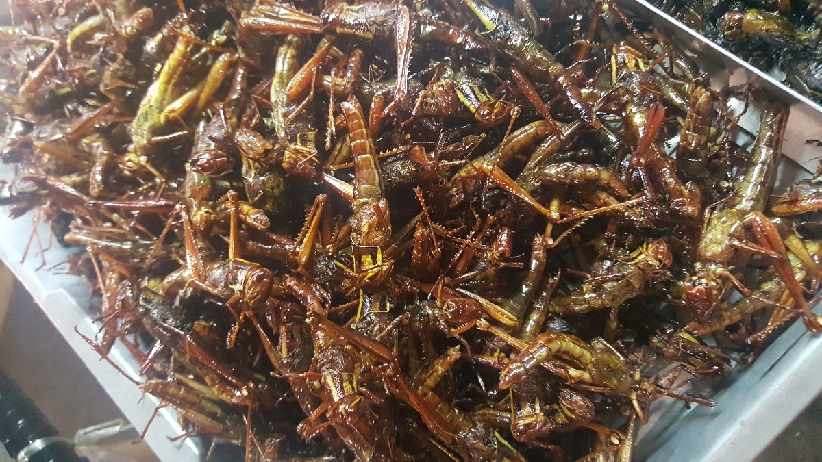Fried grasshopper #WheninThailand #ThailandFood #Bangkokfood #food