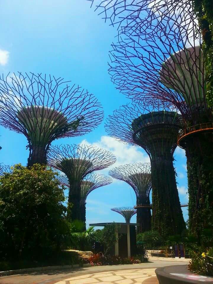 Gardens By The Bay