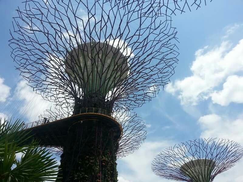 Gardens By The Bay