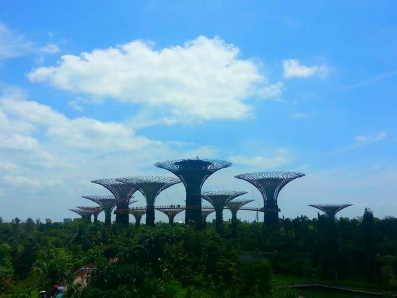 Gardens by the bay 