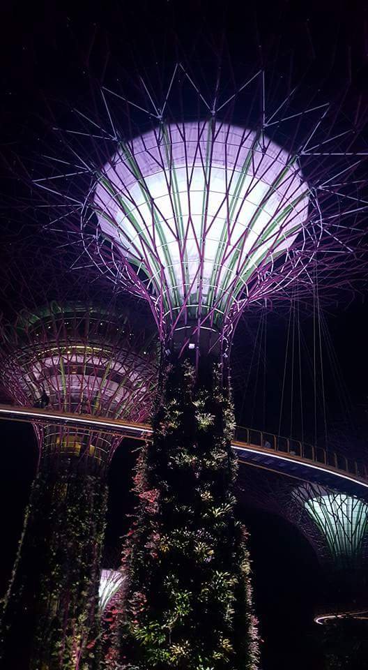 Gardes By The Bay at night #Structure #Singapore