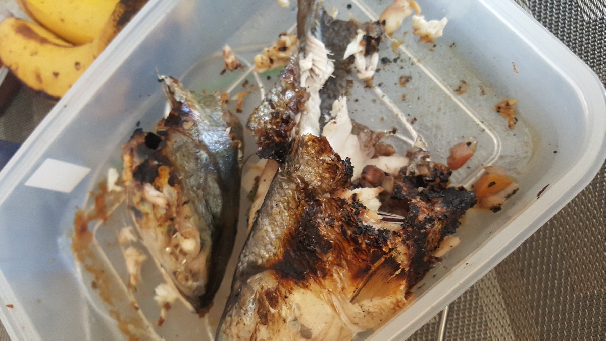 Grilled Fish