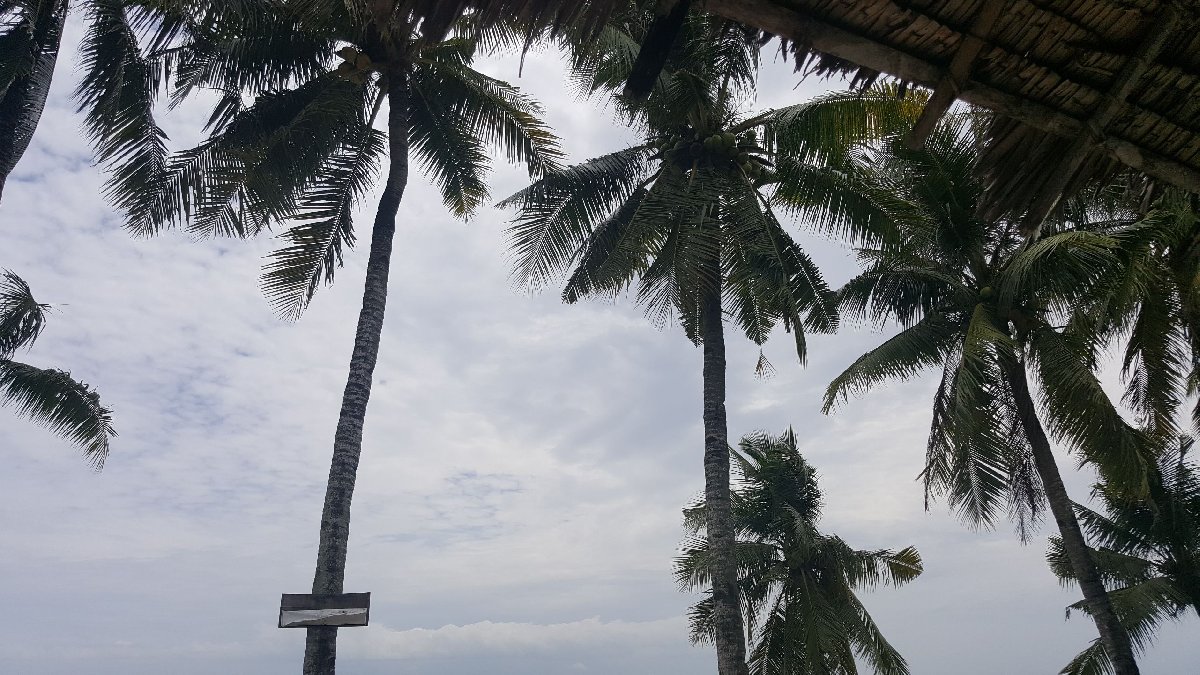 Hadsan #beachresort