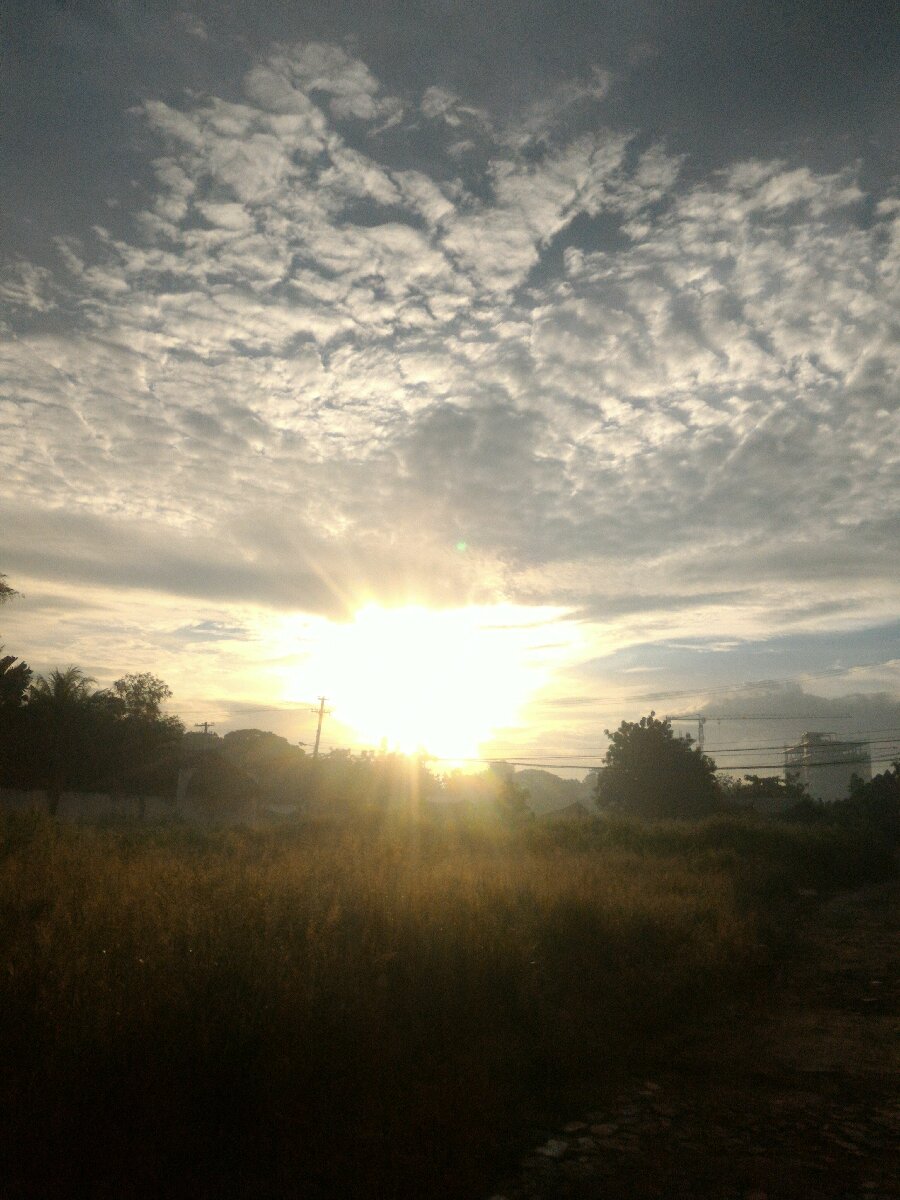 His mercies are new every morning