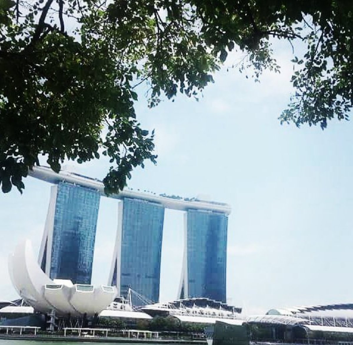 Marina Bay Sands and Art Museum #SingaporeAtitsBest #Structure