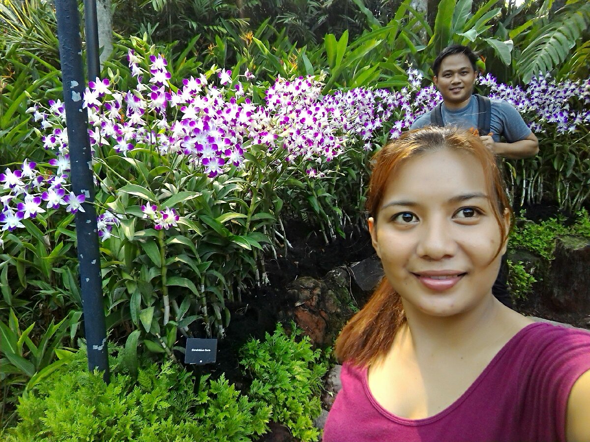 National Orchid Singapore