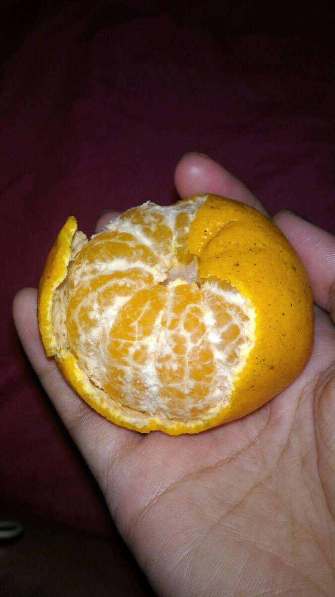 O for orange