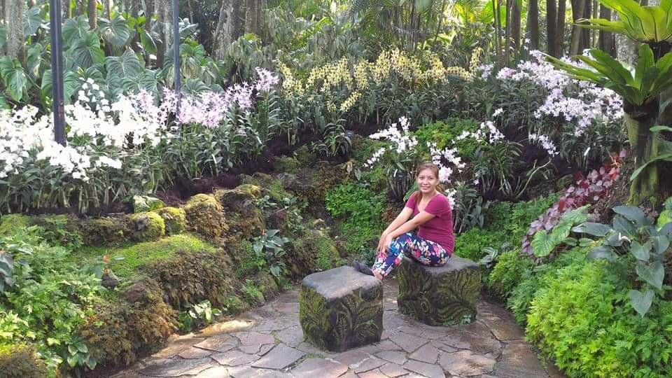 Orchids #SingaporeBitanicalGarden #Landscape