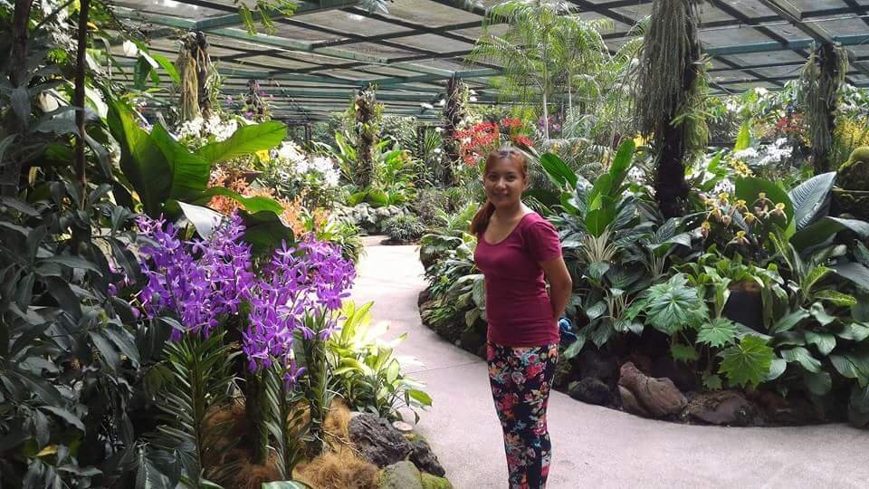 Orchids #SingaporeBitanicalGarden #Landscape