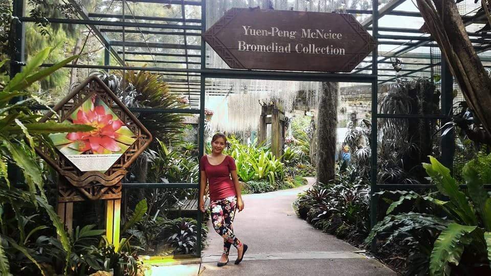 Orchids #SingaporeBitanicalGarden #Landscape