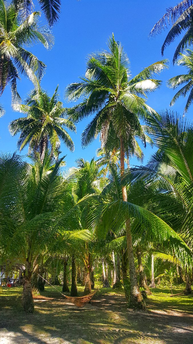 SIARGAO