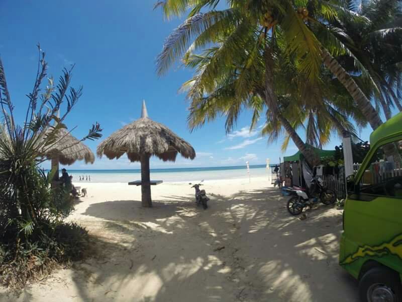 camotes