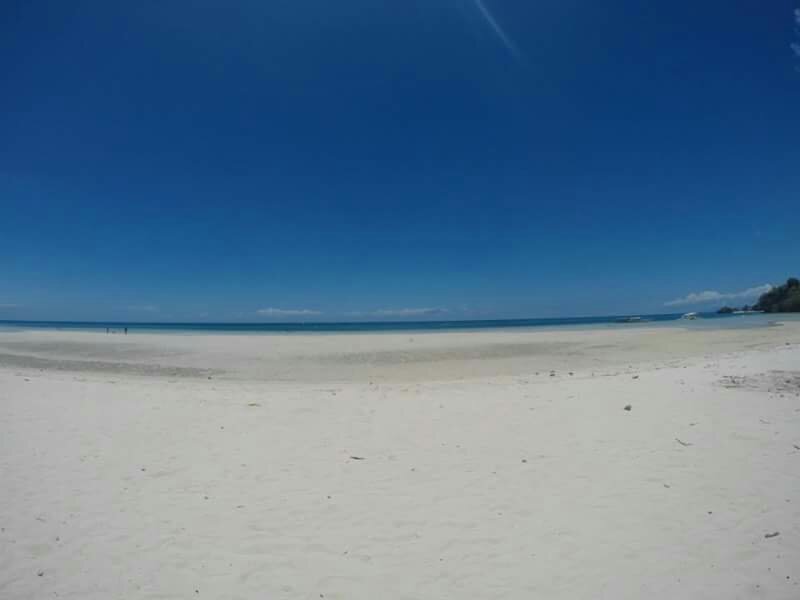 camotes