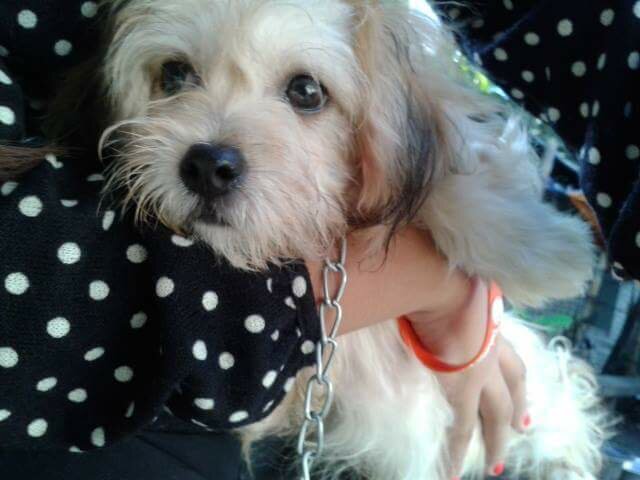 i miss you Abby