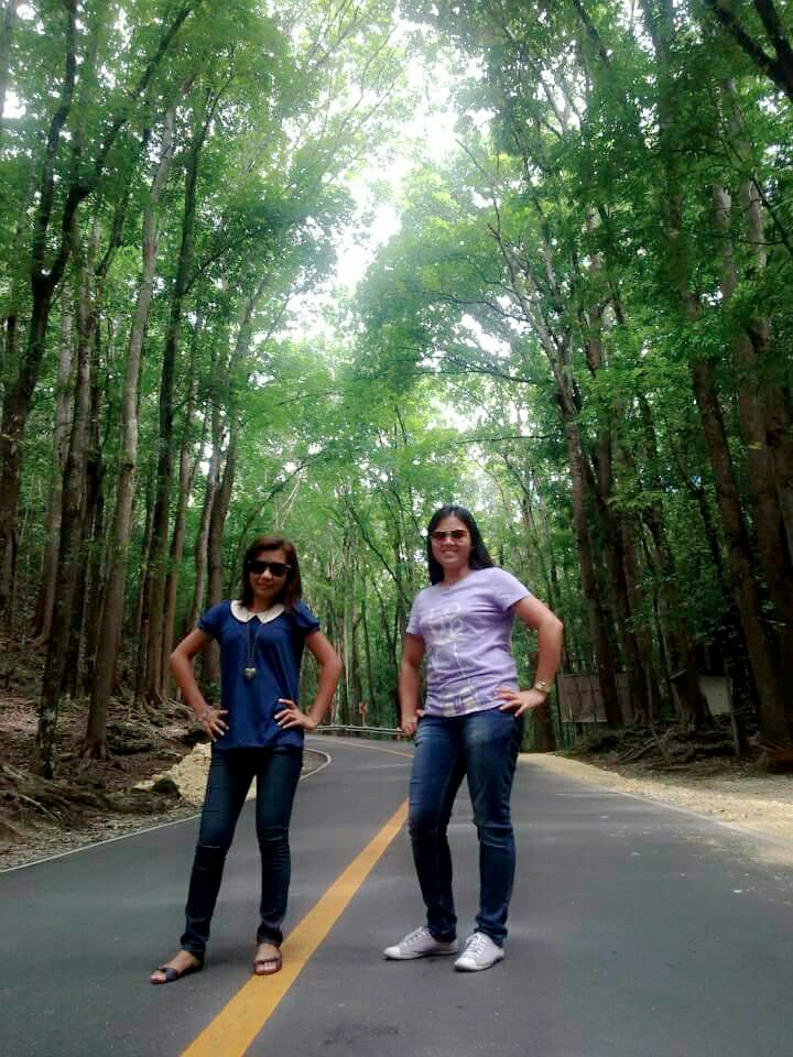 man made Forest with ate Lhiza