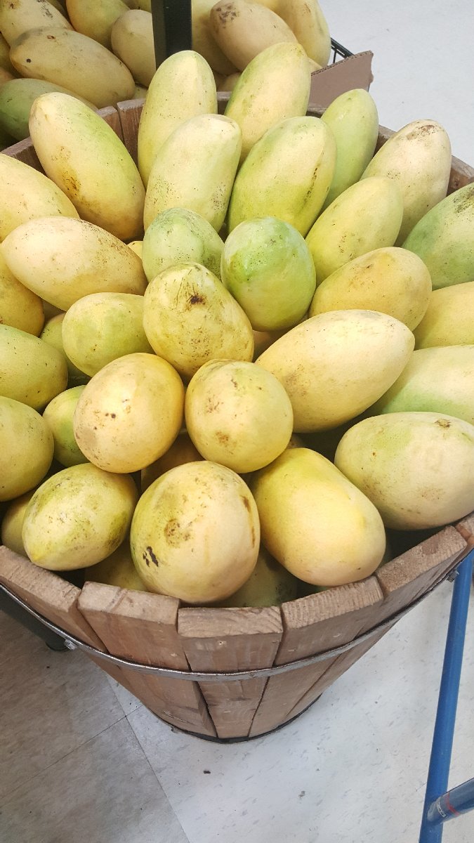 mangoes