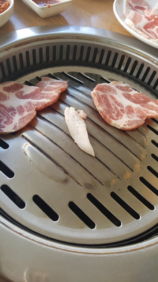 meat