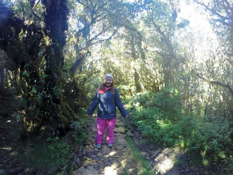 mt pulag trail