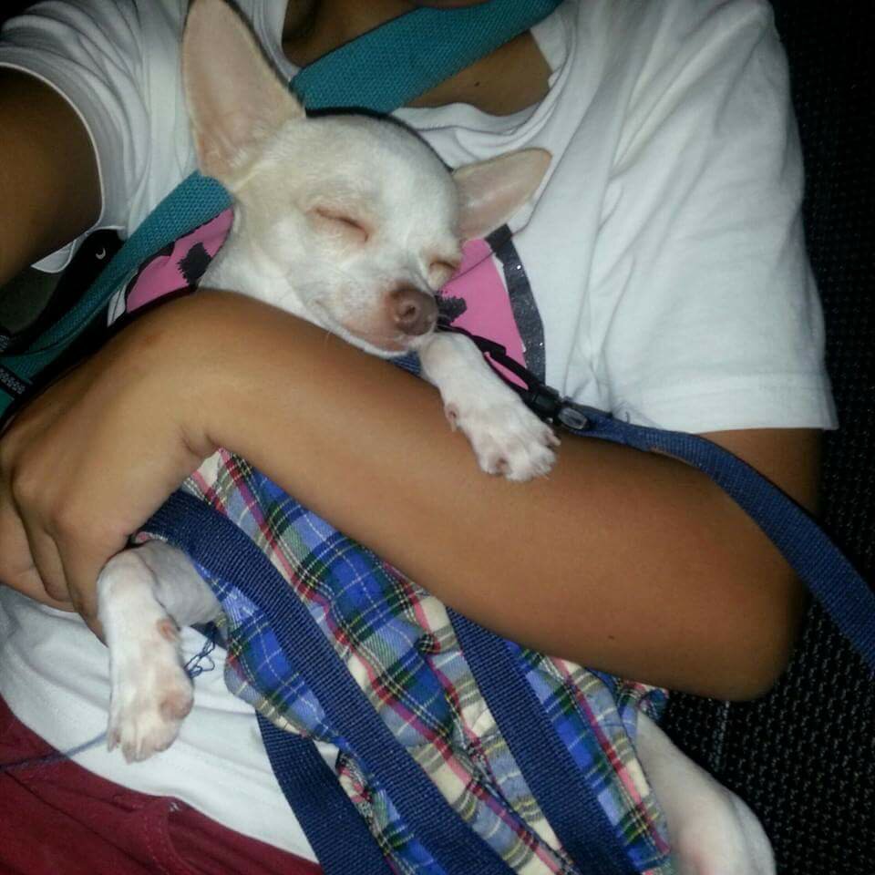 sleeping tiny