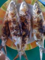 sinugbang isda