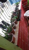 my friends collection #cactus #cacti