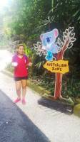 HDB WheninSG