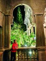 The Ruins #structures