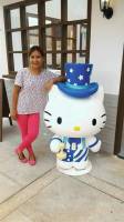 Hello Kitty Go Around