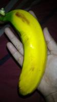 Bababababa banana