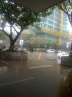 gloomy little india