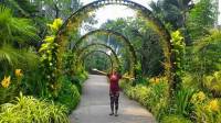 Singapore Orchid Garden