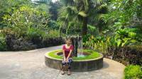 Singapore Orchid Garden