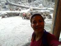 Baboons Family