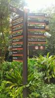 singapore zoo