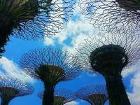 Gardes By The Bay at night #Structure #Singapore