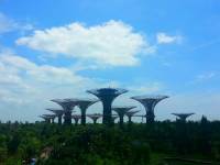Gardens By The Bay #Singapore