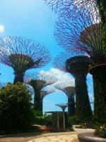 Gardens by the bay 