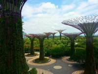 Gardens by the bay 