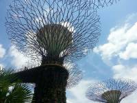 Gardens by the bay 