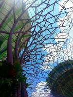 Gardens by the bay 