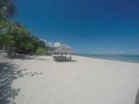 Camotes