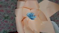 Giant Paper Flowers