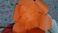Giant Paper Flowers
