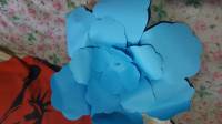 Giant Paper Flowers