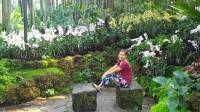 #orchids Botanical Garden Singapore
