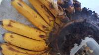 banana ketchup