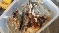 Grilled Squid #food #filipinofood #grilledsquid