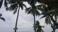 Hadsan Beach Resort