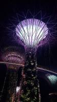 Gardes By The Bay at night #Structure #Singapore
