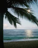 Magpupungko Siargao Environment